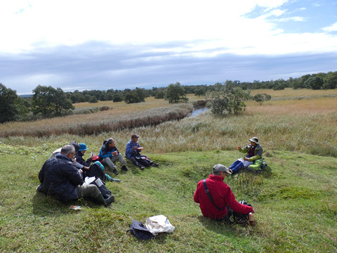 湿原のほとりで昼食