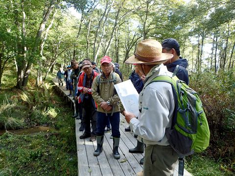 木道から保護地の視察