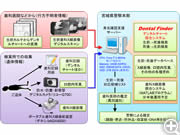 Dental Finderを用いた身元確認ワークフロー(作業の流れ)