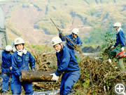倒木類を搬出する消防団員