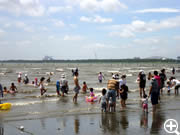 海水浴客で賑わう西なぎさ