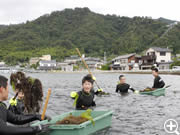 天橋立阿蘇海に繁茂する海草を除去