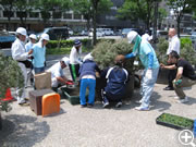 4事業所で共同受注　支援学校の生徒さんと　京都市役所前広場除草・花植え