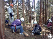 2008年ボランティア間伐作業