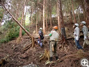 2009年水源林の集い間伐作業