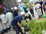 育った苗木は全国に届けられ育てられています