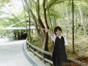 京都へ修学旅行に行ったとき