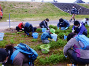 草取り交流会