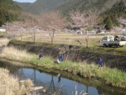 川の清掃をしています