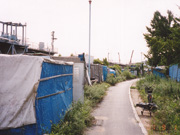 西成公園光景