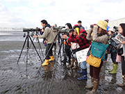 ふなばし三番瀬海浜公園で永井さんがガイドを務める野鳥観察会の様子