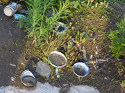 2012年の夏：津波に流された陶器