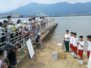 毎年8月中旬「産卵を観る会」を開催　伊万里高等学校　理科・生物部の生徒が「カブトガニの生態について」発表