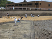 多々良海岸の清掃活動（木切れやペットボトル、空き缶などが流れ着き、手作業で回収）