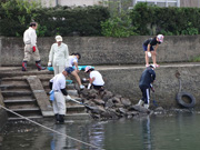 海岸の清掃活動