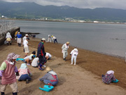 海岸の清掃活動