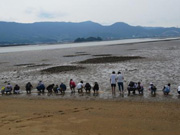 幼生放流会