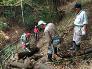 新田平見倒木除去作業