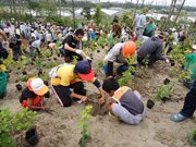 希望の森づくりプロジェクト海岸防災植林